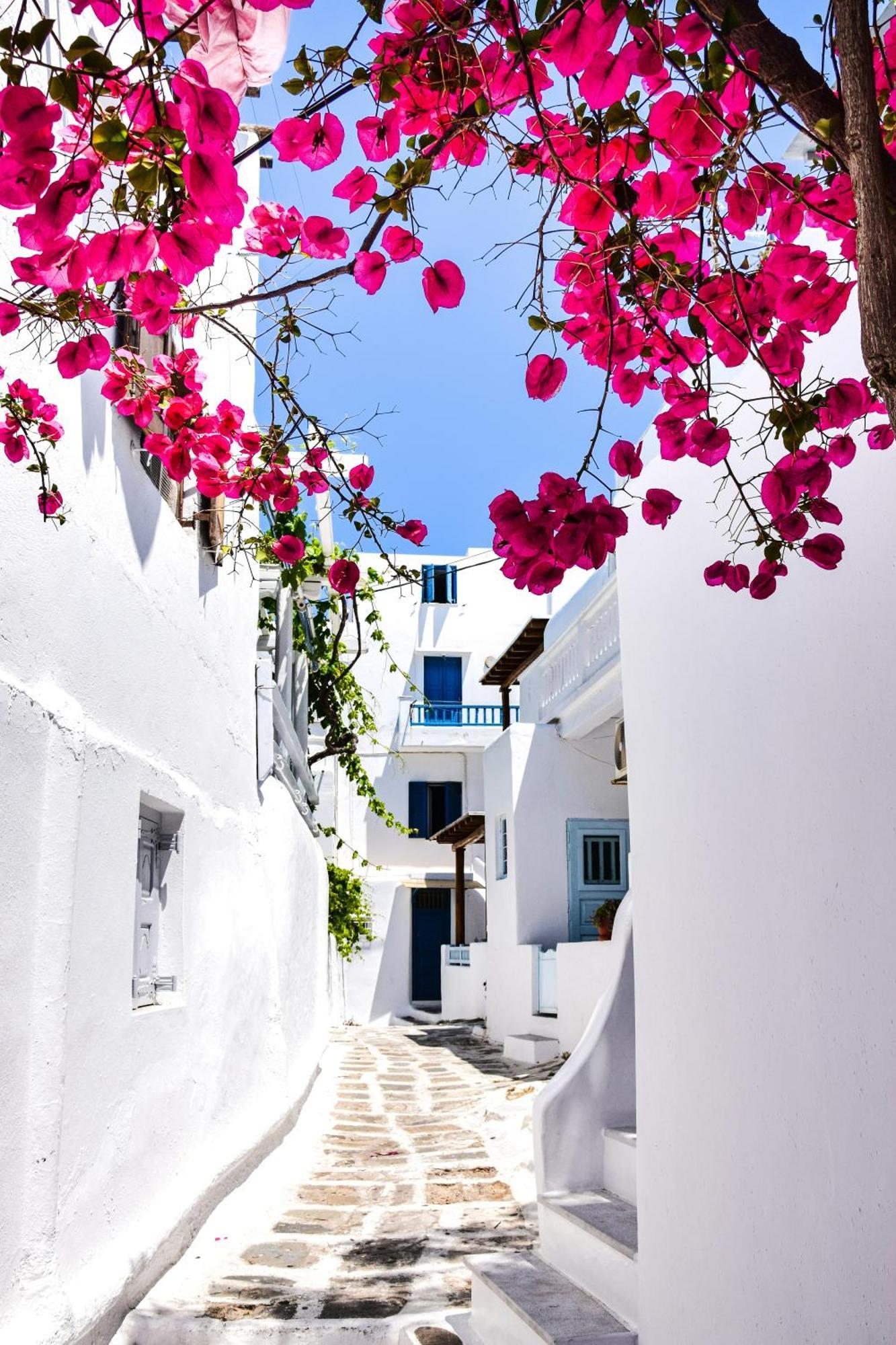 Aniko Suites White Alley Mykonos Town Zewnętrze zdjęcie